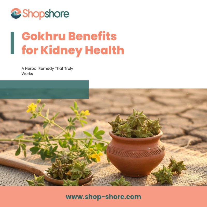 Gokhru benefits for kidney natural treatment