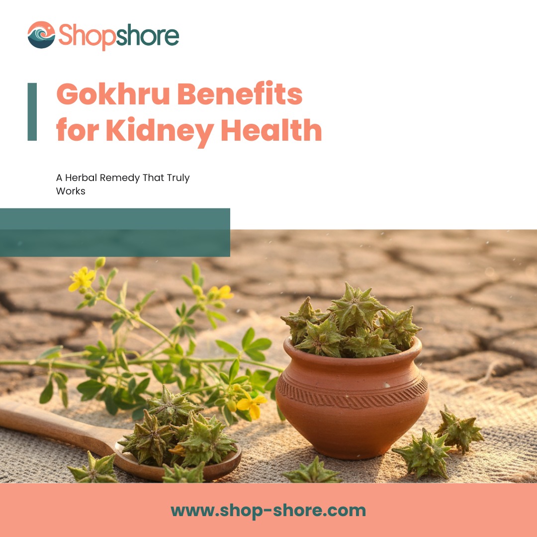 Gokhru benefits for kidney natural treatment