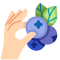berries